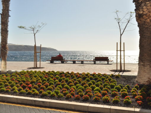 PASEO MARITIMO AVENIDA DEL EMIGRANTE
